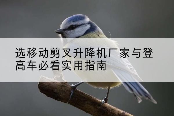 定襄电动升降机厂家-选移动剪叉升降机厂家与登高车必看实用指南