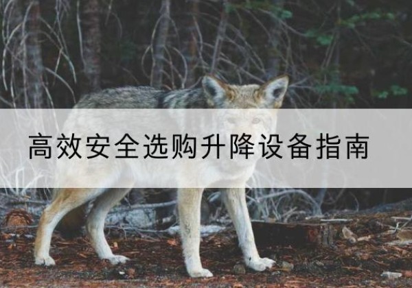 定襄升降货梯厂家推荐-*安全选购升降设备指南