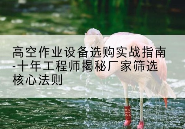 定襄剪叉式升降机厂家-高空作业设备选购实战指南-十年工程师揭秘厂家筛选核心法则
